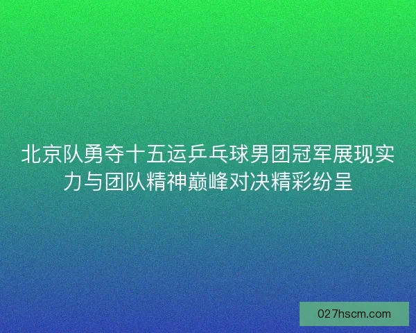 北京队勇夺十五运乒乓球男团冠军展现实力与团队精神巅峰对决精彩纷呈